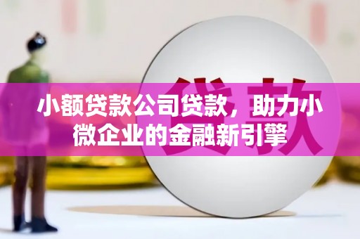 肇州小额贷款公司贷款，助力小微企业的金融新引擎