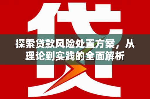 茂林探索贷款风险处置方案，从理论到实践的全面解析