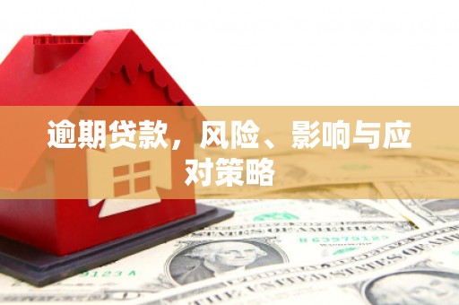 鱼池逾期贷款，风险、影响与应对策略