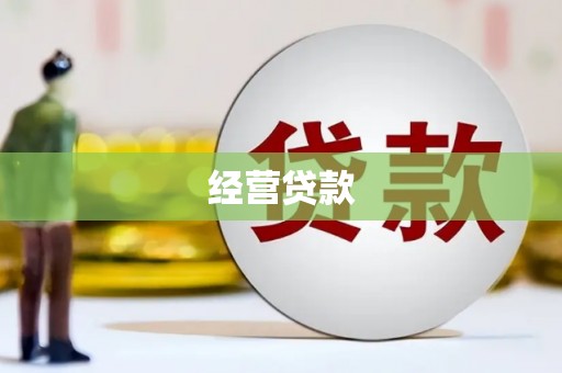 中坜经营贷款