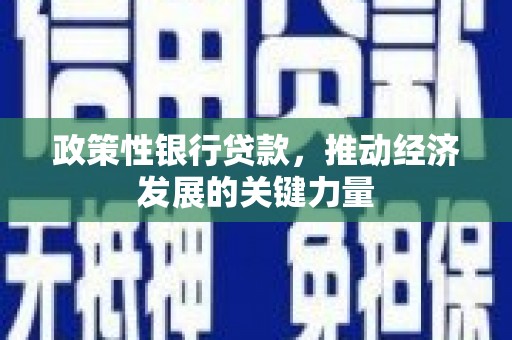 铜仁政策性银行贷款，推动经济发展的关键力量