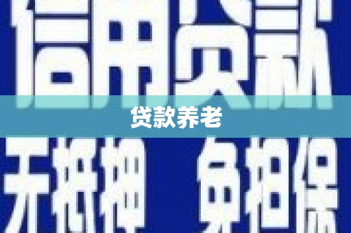 廉江贷款养老