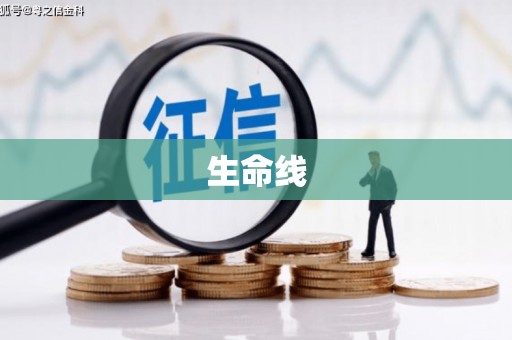 仁和生命线