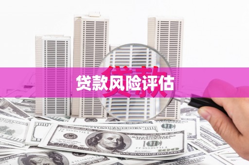乐清贷款风险评估