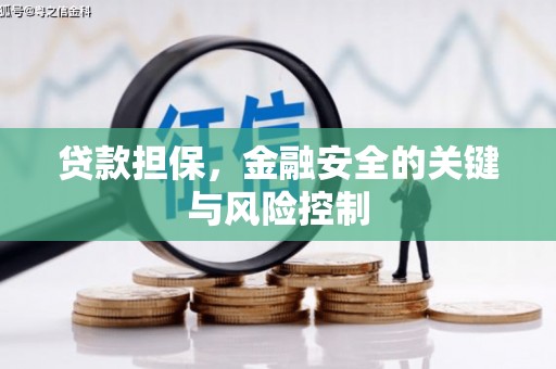 霞浦贷款担保，金融安全的关键与风险控制