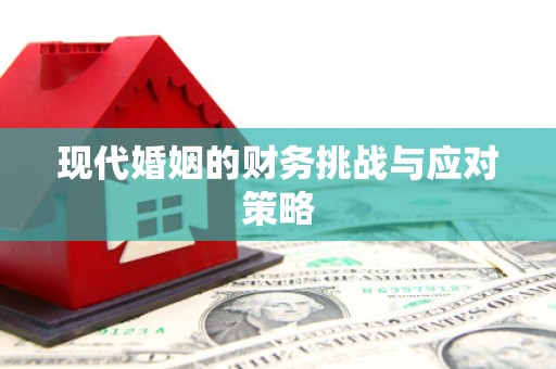 六脚现代婚姻的财务挑战与应对策略