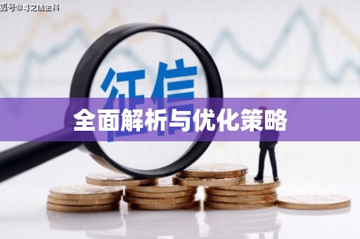西城全面解析与优化策略