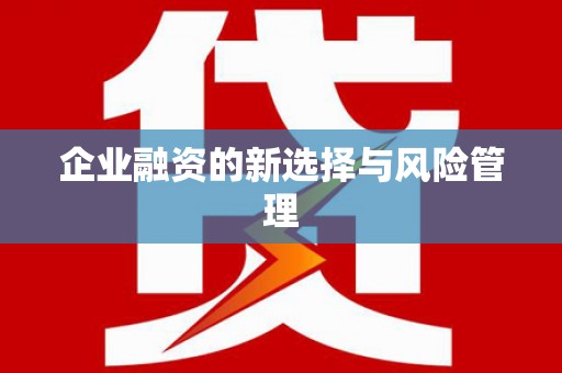 龙沙企业融资的新选择与风险管理