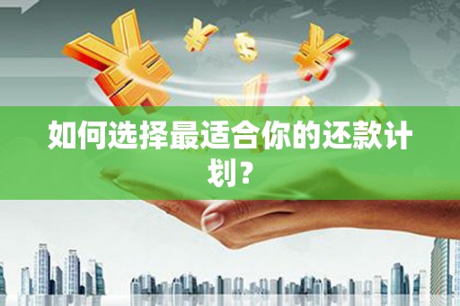 隆回如何选择最适合你的还款计划？