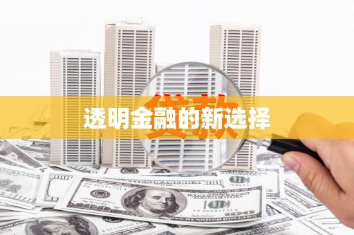 泾县透明金融的新选择