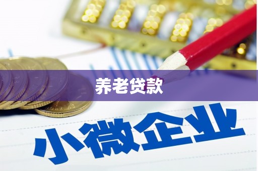 漯河养老贷款